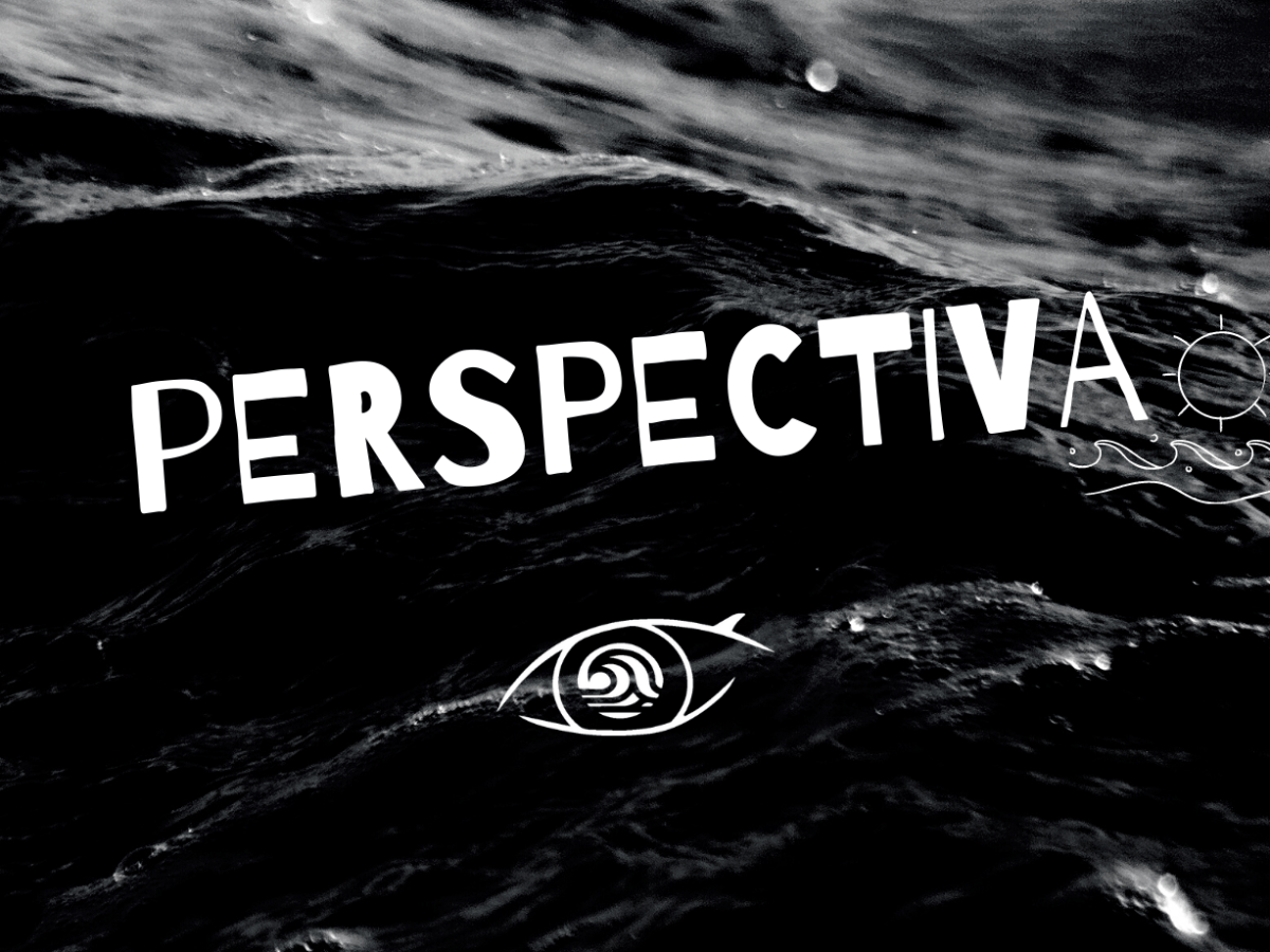 PERSPECTIVA